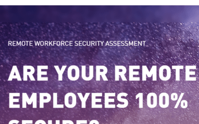 REMOTE WORKFORCE SECURITY ASSESSMENT